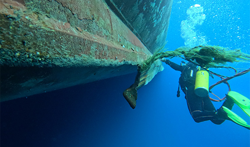 Diving Services in Ceuta
