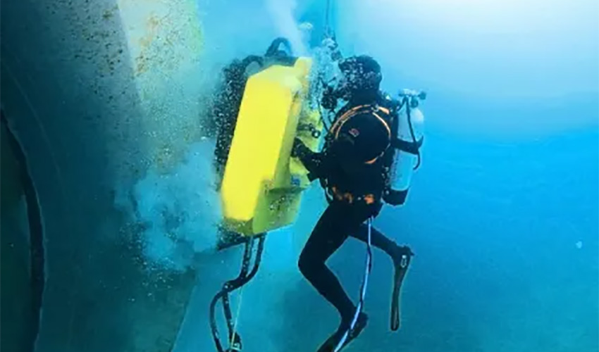 In-Water Survey Gibraltar
